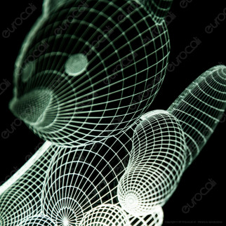 Cucciolo di Volpe - Placca in Plexiglass Trasparente Effetto 3D