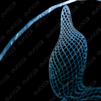 Buddha - Placca in Plexiglass Trasparente Effetto 3D Incisa al Laser