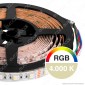 Immagine 4 - ZNLED Striscia LED 5050 Multicolore RGB+W 60 LED/Metro 24V IP20 -