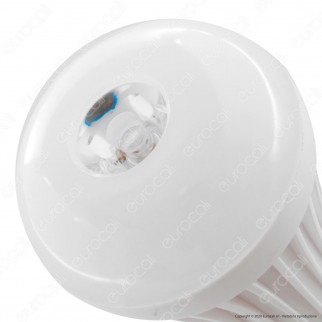 Life Torcia LED 1,5W da Campeggio Alimentata a Batterie AAA con Base