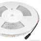 V-Tac VT-2835 Striscia LED SMD 2835 7,2W/m 24V Monocolore 120 LED/metro IP65 - 10 metri - SKU 2625 / 2626 / 2627 [TERMINATO]