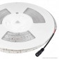 V-Tac VT-2835 Striscia LED SMD 2835 7,2W/m 24V Monocolore 120 LED/metro IP65 - 10 metri - SKU 2625 / 2626 / 2627