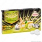 Confetti Crispo Snob con Mandorle Tostate Gusto Ricotta e Pera - Confezione 500g [TERMINATO]