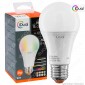 Immagine 1 - iDual Lampadina LED E27 Bulb A60 Multifunzione RGB+W 9W - mod.