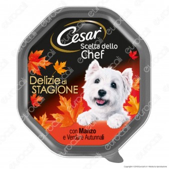Cesar Scelta dello Chef Delizie di Stagione Cibo per Cani con Manzo e