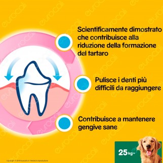 Pedigree Dentastix Large per l'igiene orale del cane - Confezione da