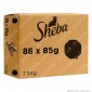 Sheba Selezione 4 Gusti Cibo per Gatti con Pollo, Tacchino, Agnello e Pollo, Salmone - 88 Vaschette da 85g