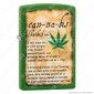 Accendino Zippo Mod. 49119 Leaf Moss Green - Ricaricabile Antivento [TERMINATO]