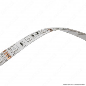 Sure Energy Striscia LED Bobina 5 Metri 12V 14,4W 60 LED/metro