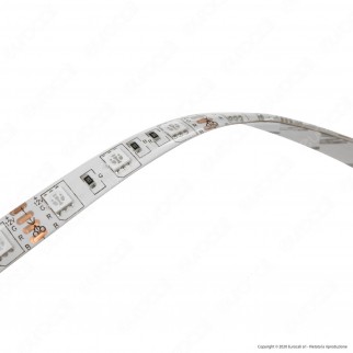 Sure Energy Striscia LED Bobina 5 Metri 12V 14,4W 60 LED/metro