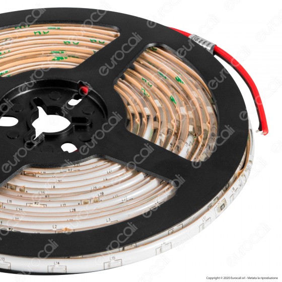 FAI Striscia LED Impermeabile Monocolore 60 LED/metro Emissione Luce FAI Striscia LED Impermeabile Monocolore 60 LED/metro Emissione Luce