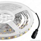 V-Tac Striscia LED 5050 Monocolore 60 LED/metro 24V - Bobina da 5 metri - SKU 2431 / 2459 / 2430