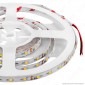 V-Tac Striscia LED 2835 Impermeabile Monocolore 60LED/metro - Bobina da 5 metri - SKU 2519