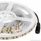 Immagine 1 - V-Tac Striscia LED 3528 Monocolore 120 LED/metro - Bobina da 5 metri