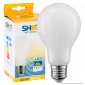 Immagine 1 - Bot Lighting Lampadina LED E27 11W Bulb A70 Milky Filamento