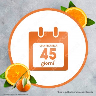 Air Wick Diffusore di Fragranze con Oli Essenziali e Ricarica