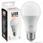 Wiva Lampadina LED E27 15W Bulb A60 - mod. 12100237 / 12100238 / 12100239 [TERMINATO]