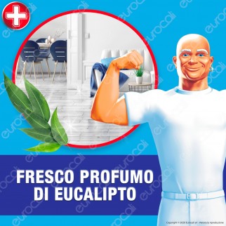 Mastro Lindo Detergente Multiuso con Candeggina - Spray da 500ml