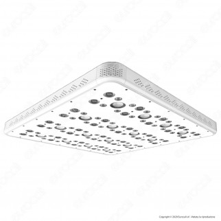 Ortoled Serie Evolution Lampada LED 700W per Coltivazione Indoor Chip