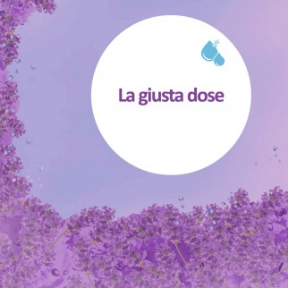 Vernel Ammorbidente Liquido Concentrato per Lavatrice con Profumo