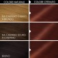 Immagine 2 - Garnier Olia Tinta Permanente per Capelli 4.6 Rosso Profondo Senza