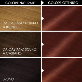 Garnier Olia Tinta Permanente per Capelli 4.6 Rosso Profondo Senza