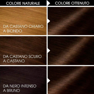 Garnier Olia Tinta Permanente per Capelli 5.0 Castano Senza Ammoniaca