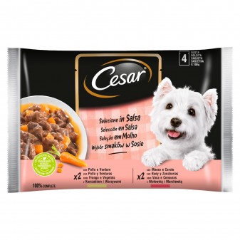 13 Confezioni di Cesar Selezione in Salsa Cibo per Cani con Pollo e