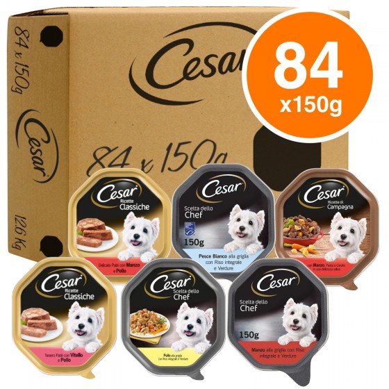 84 Vaschette Cesar Selezione 6 Gusti Cibo per Cani con Pollo, Manzo 84 Vaschette Cesar Selezione 6 Gusti Cibo per Cani con Pollo, Manzo
