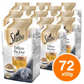 12 Confezioni di Sheba Delices Du Jour Selezione Delicata Cibo per