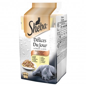 12 Confezioni di Sheba Delices Du Jour Selezione Deliziosa Cibo per