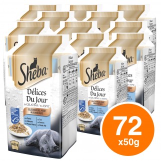 12 Confezioni di Sheba Delices Du Jour Selezione Raffinata Cibo per