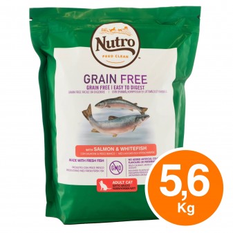 4 Buste di Nutro Grain Free con Salmone Fresco Cibo Secco per Gatti Adulti da 1,4Kg