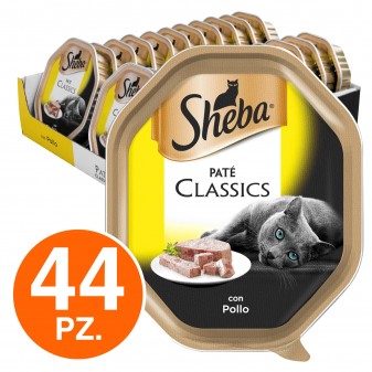 44 Vaschette Sheba Paté Classic Cibo per Gatti al Pollo da 85g
