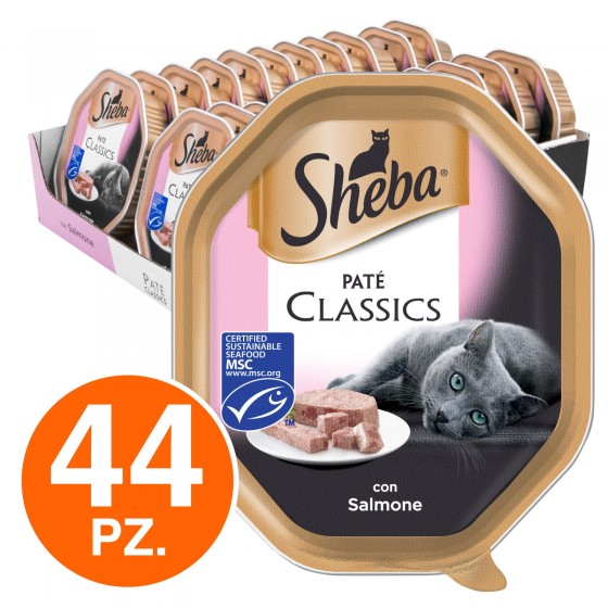 44 Vaschette Sheba Paté Classic Cibo per Gatti al Gusto Salmone da 85g