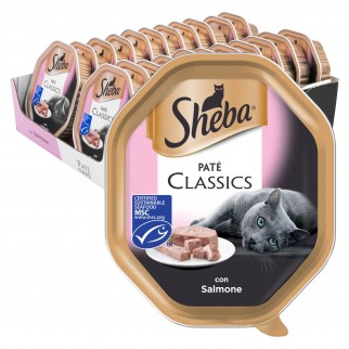 44 Vaschette Sheba Paté Classic Cibo per Gatti al Gusto Salmone da 85g
