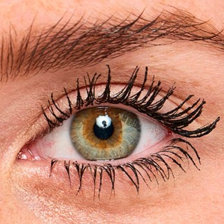 L'Oréal Paris Superstar False Lash Mascara Nero Doppio Gesto