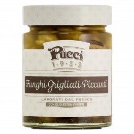 Pucci Funghi Grigliati Piccanti con Olio Extra Vergine di Oliva -