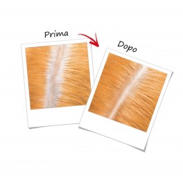 L'Oréal Paris Ritocco Perfetto Spray per Capelli Bianchi Colore I