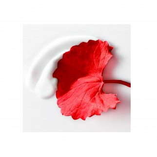 L'Oréal Paris Revitalift Cicacrema Crema Contorno Occhi Anti-Rughe -