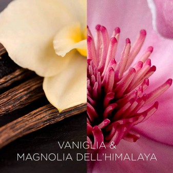 Air Wick Botanica Diffusore Elettrico con Ricarica Vaniglia e