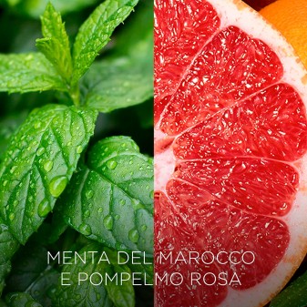 Air Wick Botanica Diffusore Elettrico con Ricarica Menta del Marocco e Pomplemo Rosa