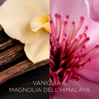 Air Wick Botanica Vaniglia e Magnolia dell'Himalaya Candela con cere