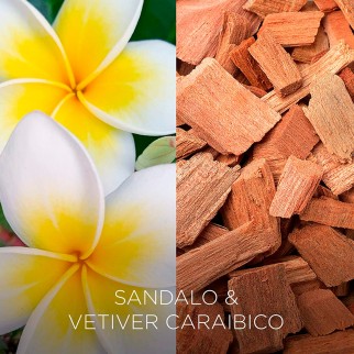 Air Wick Botanica Sandalo e Vetiver Caraibico Candela con cere di