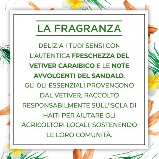 Air Wick Botanica Sandalo e Vetiver Caraibico Candela con cere di