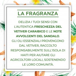 Air Wick Botanica Sandalo e Vetiver Caraibico Candela con cere di