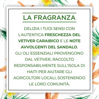 Air Wick Botanica Sandalo e Vetiver Caraibico Spray per Ambienti