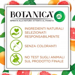 Air Wick Botanica Menta del Marocco e Pompelmo Rosa Spray per Ambienti