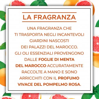 Air Wick Botanica Menta del Marocco e Pompelmo Rosa Spray per Ambienti