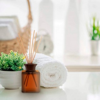 Air Wick Botanica Vaniglia e Magnolia dell'Himalaya Profumatore a